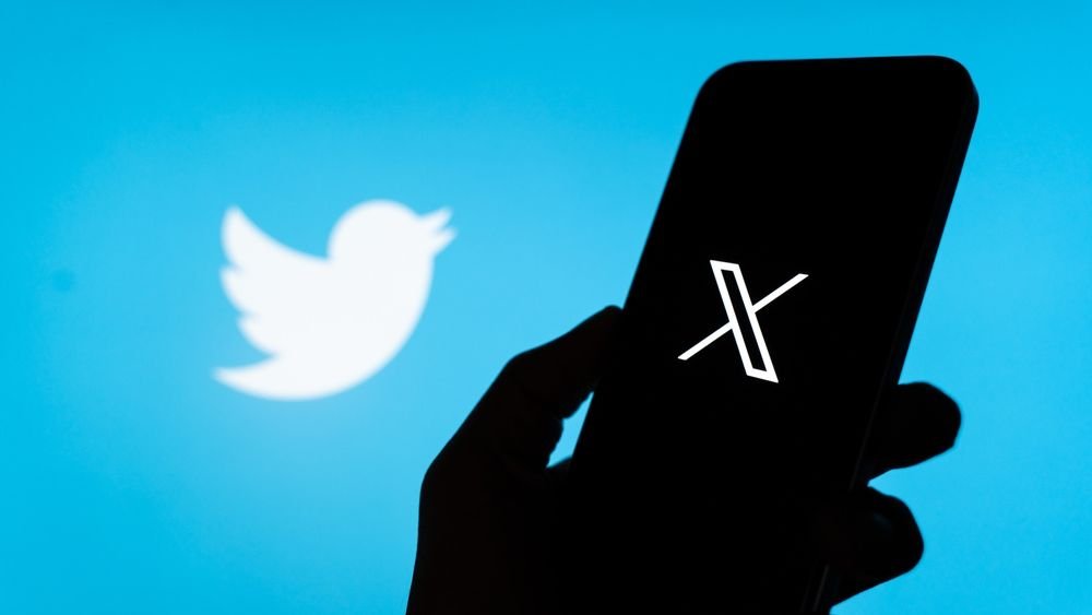 Exploring Z Virgogram Twitter Trends, Memes, and Community Reactions